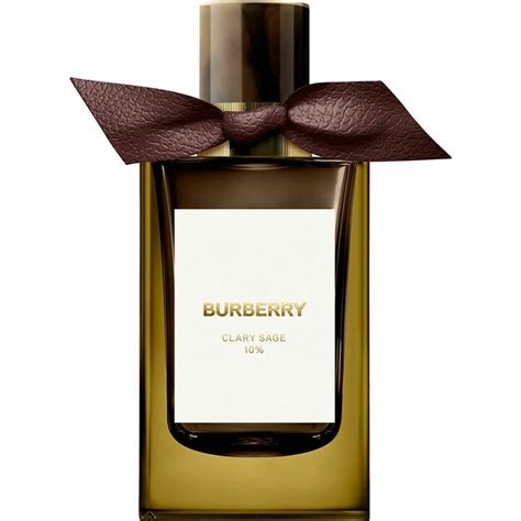 burberry clary sage|Burberry fragrance.